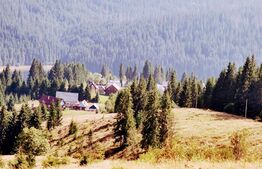 COMISION 0%- Parcelă, 6000 mp intravilan, utilități pe teren, Dealu Botii, Beliș