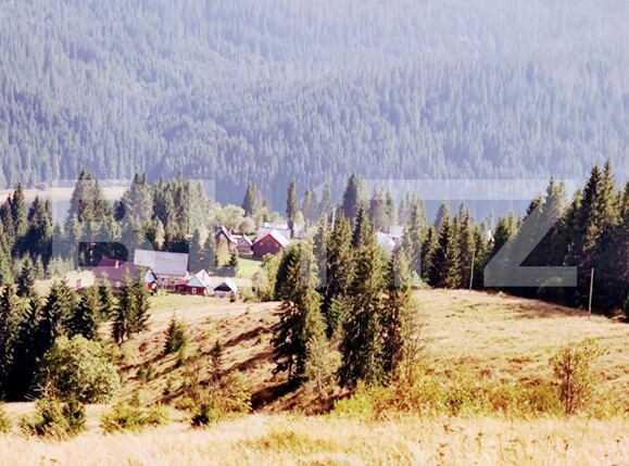 Teren de vânzare Beliș - 150139TV | BLITZ Cluj-Napoca | Poza1