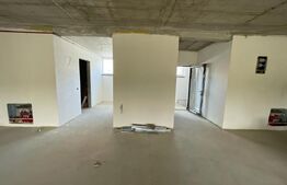 Penthouse 5 camere, 4 bai, 237 mp, terasa 540 mp, zona Baciu