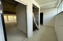 Penthouse 5 camere, 4 bai, 237 mp, terasa 540 mp, zona Baciu