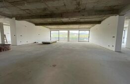 Penthouse 5 camere, 4 bai, 237 mp, terasa 540 mp, zona Baciu