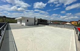 Penthouse 5 camere, 4 bai, 237 mp, terasa 540 mp, zona Baciu