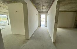 Penthouse 5 camere, 4 bai, 237 mp, terasa 540 mp, zona Baciu