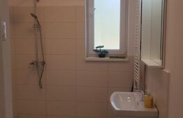 Ultracentral, 5 camere intrari separate,2bai,2 bucatarii,oportunitate comerciala