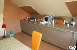 Apartament cu 2 camere, 90 mp, la mansarda unei vile, zona Scolii de Politie