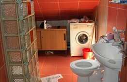 Apartament cu 2 camere, 90 mp, la mansarda unei vile, zona Scolii de Politie