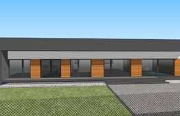 Casa exclusivista plan parter,SMART-ECO,piscina, 120mp utili, teren 700mp,Harman