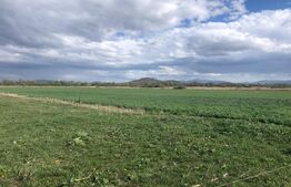 Teren de vânzare Noua - 143376TV | BLITZ Brașov | Poza3