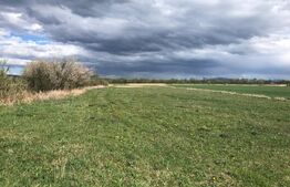 De vanzare teren extravilan 50.000 mp 