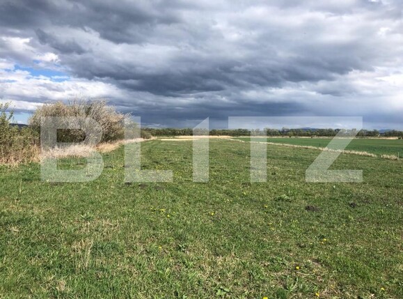 Teren de vânzare Bod - 150243TV | BLITZ Brașov | Poza2