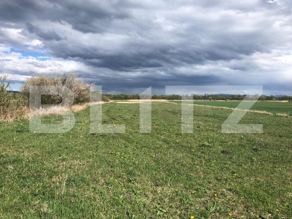 Teren de vânzare Bod - 150243TV | BLITZ Brașov | Poza2