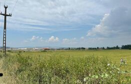 Teren intravilan industrial hala/depozit,11500mp, Cristian zona Ina Schaeffler