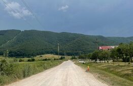 Teren intravilan industrial hala/depozit,11500mp, Cristian zona Ina Schaeffler