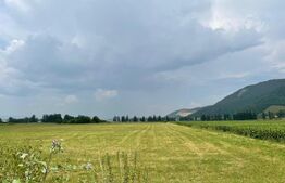 Teren intravilan industrial hala/depozit,11500mp, Cristian zona Ina Schaeffler