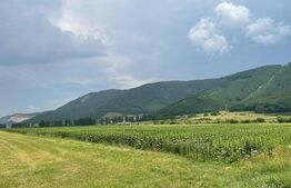 Teren intravilan industrial hala/depozit,11500mp, Cristian zona Ina Schaeffler