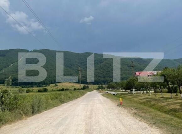 Teren de vânzare Cristian - 150244TV | BLITZ Brașov | Poza4