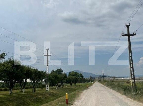 Teren de vânzare Cristian - 150244TV | BLITZ Brașov | Poza5