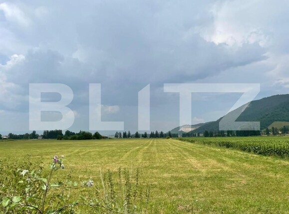 Teren de vânzare Cristian - 150244TV | BLITZ Brașov | Poza2