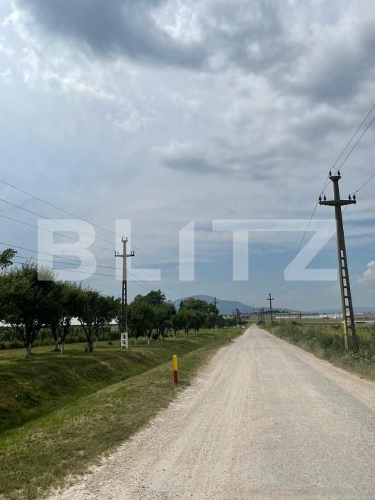 Teren de vânzare Cristian - 150244TV | BLITZ Brașov | Poza5