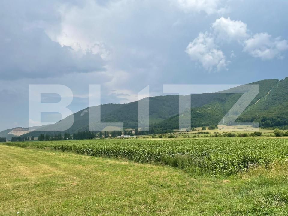 Teren de vânzare Cristian - 150244TV | BLITZ Brașov | Poza3