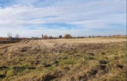 De vanzare teren intravilan in Bod