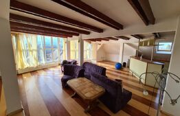 Casa, proprietate pretabila pentru sediu de firma + hala productie