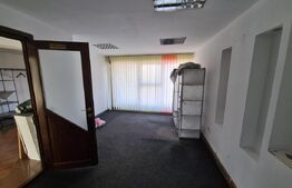 Casa, proprietate pretabila pentru sediu de firma + hala productie