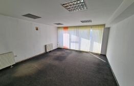 Casa, proprietate pretabila pentru sediu de firma + hala productie