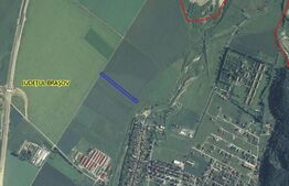 2 X Teren intravilan de vanzare, Rasnov, 10.000mp