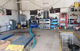 Hală service auto  Harman 