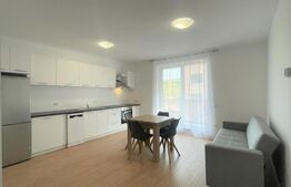 Apartament 2 camere, 45 mp, parcare, boxa, Beta Residence 