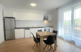 Apartament 2 camere, 45 mp, parcare, boxa, Beta Residence 