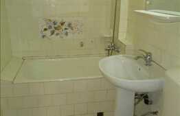 2 camere, 45 mp, decomandat, zona Stadion CFR