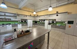 Spatiu birouri/comercial, 830 - 3000 mp, cladire de sticla, Centru