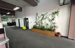 Spatiu birouri/comercial, 830 - 3000 mp, cladire de sticla, Centru