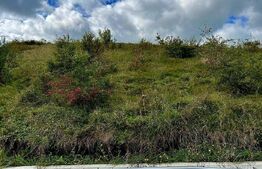 Teren intravilan 1214mp, situat in Chinteni, pentru constructia a 2 unitati