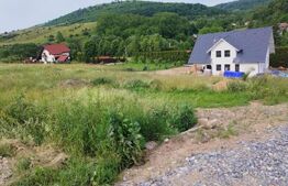 Teren intravilan 1235 mp, zona Salicea