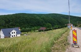 Teren intravilan 1235 mp, zona Salicea