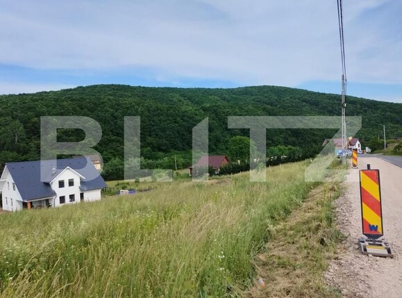 Teren de vânzare Salicea - 150286TV | BLITZ Cluj-Napoca | Poza4