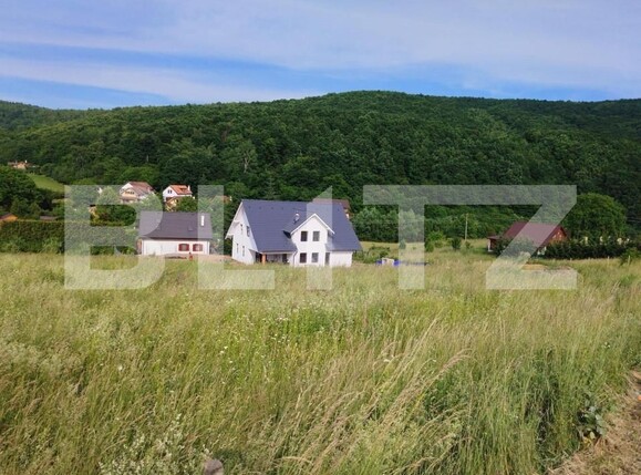 Teren de vânzare Salicea - 150286TV | BLITZ Cluj-Napoca | Poza3