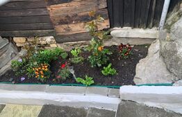 Casa individuala, 260 mp teren, Turda