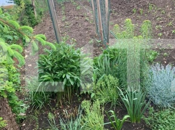 Casa de vânzare 3 camere  - 150292CV | BLITZ Cluj-Napoca | Poza6