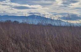 Teren de vanzare 1500 mp - intravilan Codlea - 30 euro mp