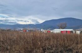 Teren de vanzare 1500 mp - intravilan Codlea - 30 euro mp