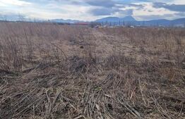 Teren de vanzare 1500 mp - intravilan Codlea - 30 euro mp