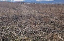 Teren de vanzare 1500 mp - intravilan Codlea - 30 euro mp