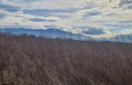 Teren de vanzare 1500 mp - intravilan Codlea - 30 euro mp