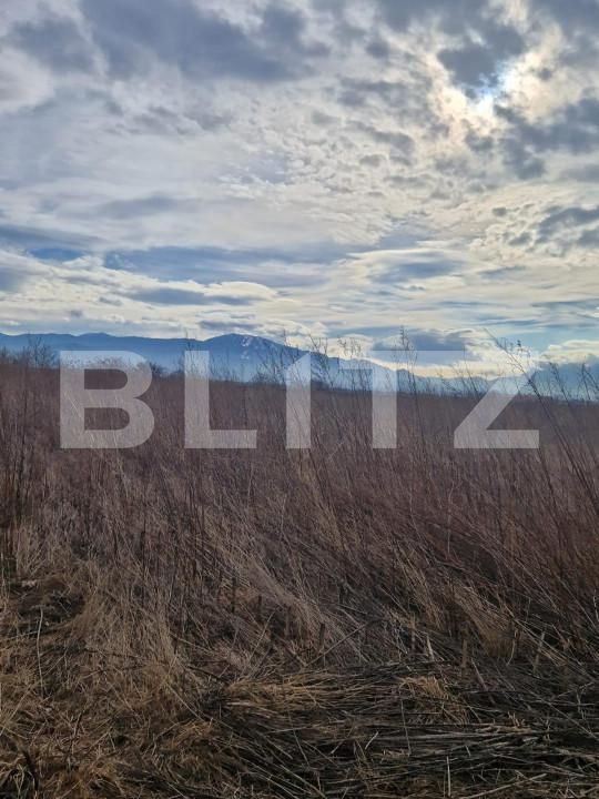 Teren de vânzare Codlea - 150297TV | BLITZ Brașov | Poza4