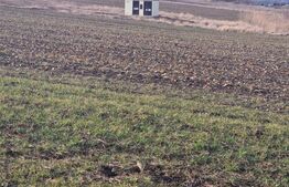 Teren intravilan Sanpetru- 811mp o parcela -sunt 3 parcele, front 18 m liniari 