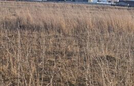 Teren intravilan Sanpetru- 811mp o parcela -sunt 3 parcele, front 18 m liniari 